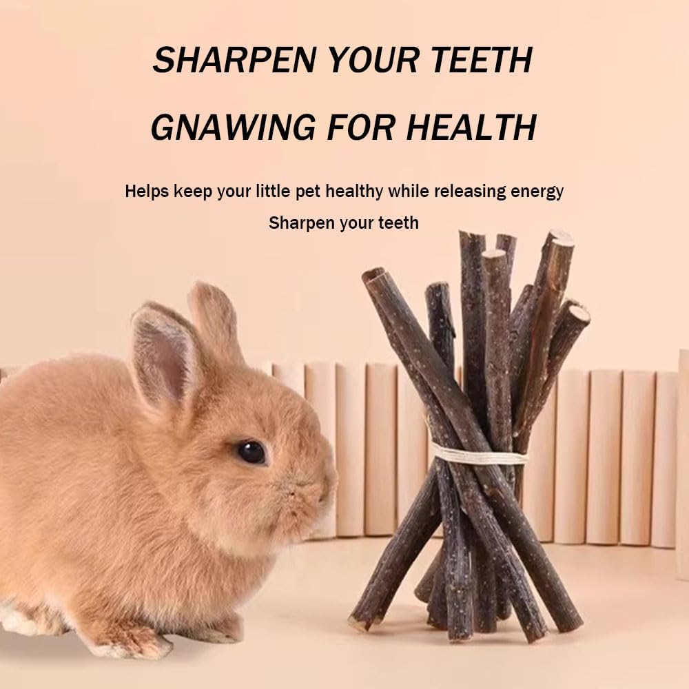 400g 5 Guinea Pig Toys Apple Sticks, Tissimo Grass Sticks, Sweet Bamboo, Papaya Stems, Carrot