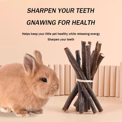 400g 5 Guinea Pig Toys Apple Sticks, Tissimo Grass Sticks, Sweet Bamboo, Papaya Stems, Carrot