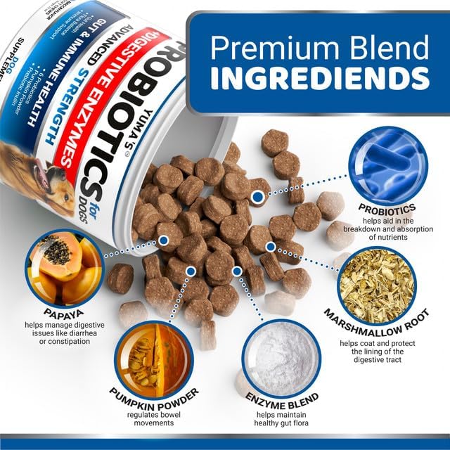 Probiotics for Dogs and Digestive Enzymes - 170 Dog Probiotics Chews - Dog Probiotic - Anti