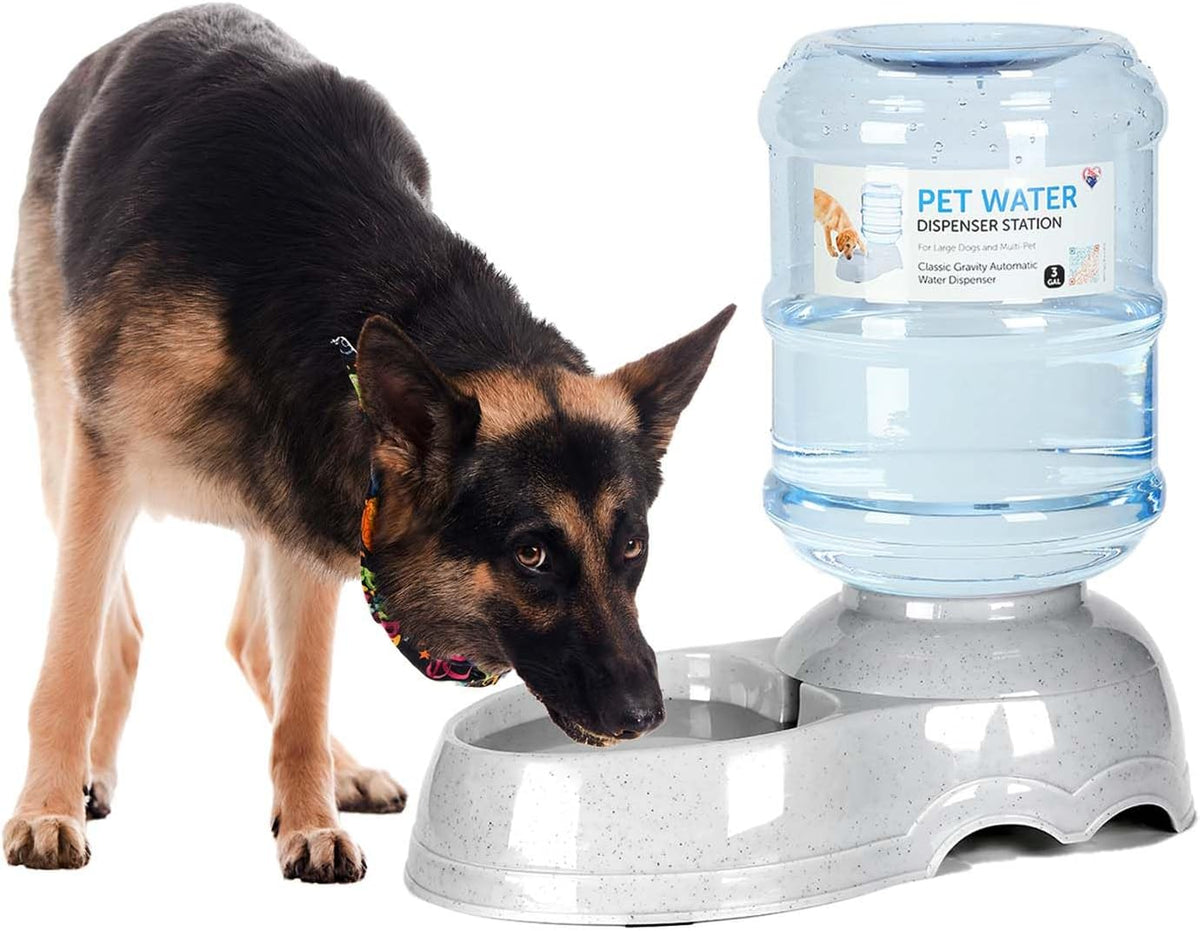 Pet Water Dispenser for Large Dogs and Multi-Pet, 3 Gallon Dog Water Bowl Dispenser, Basic