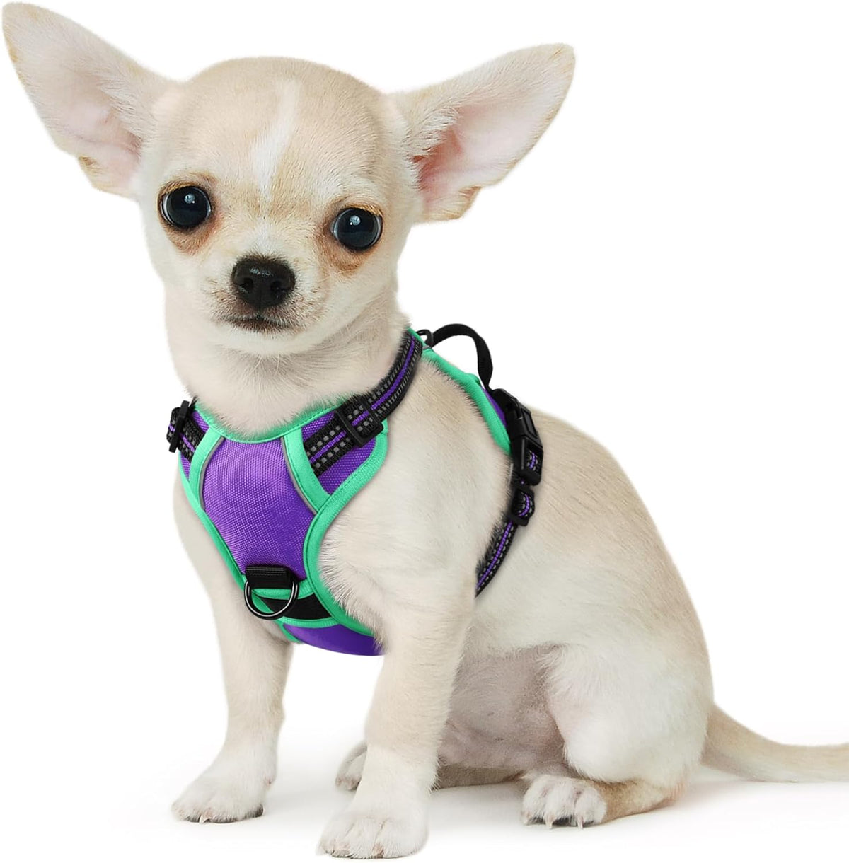 Eagloo Small Dog Harness No Pull, Service Vest with Reflective Strips and Control Handle