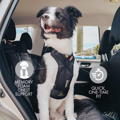EzyDog Drive Dog Car Harness – Crash Tested and Certified (US-FMVSS 213) Dog Seat Belt Harness for