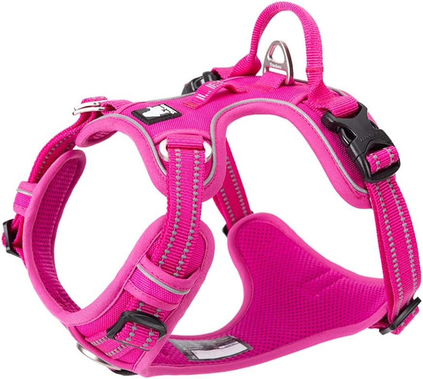 TRUE LOVE Dog Harness No Pull Nylon Reflective Pet Harness Adjustable Comfortable Control Step-in