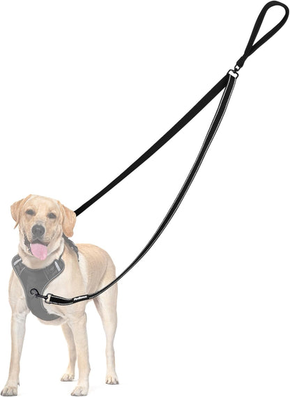 PetBonus Two Point Control Dog Leash, Works with No Pull Harnesses, No Tangle Training Leashes