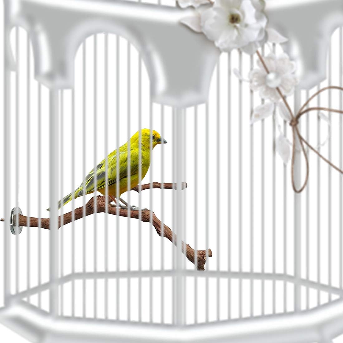 PINVNBY Parrot Perches Natural Birds Stand Wild Grape Stick Grinding Paw Climbing Wood Cage