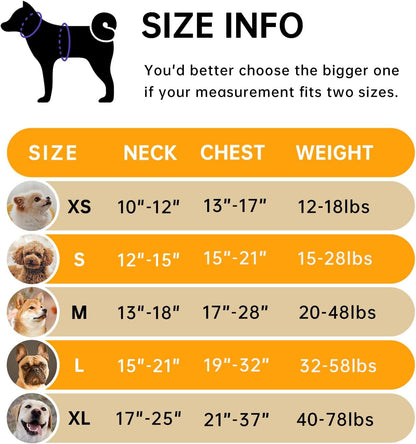 IVY&LANE No Pull Dog Harness for Medium Dogs, Dog Vest Harness with Leash, Safety Belt and Storage