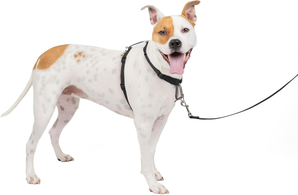 PetSafe 3 in 1 Dog Harness - No Pull Solution for Dogs - Reflective Dog Harness - Front D-Ring Clip