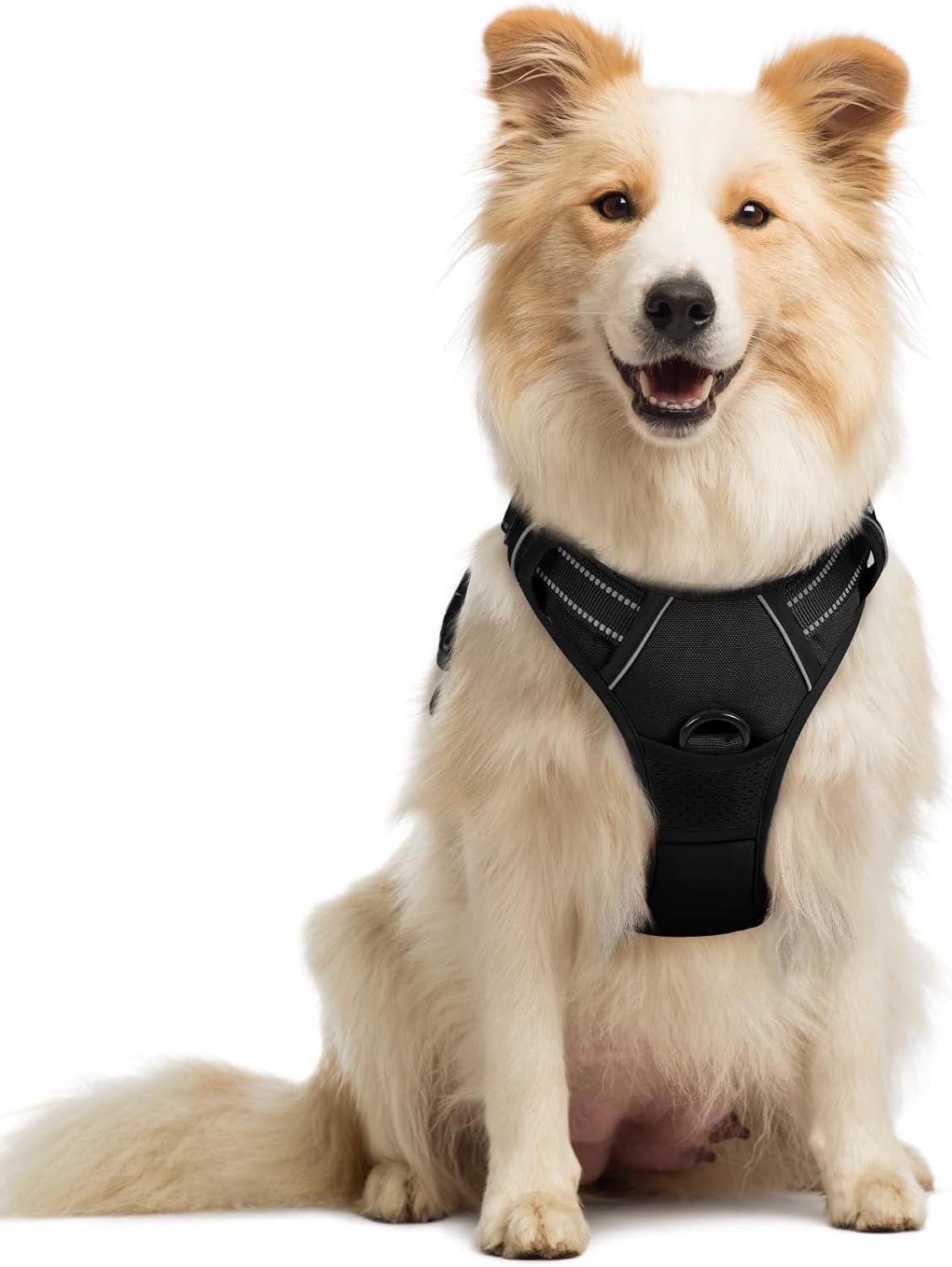 rabbitgoo Dog Harness No Pull with 2 Leash Clips, Adjustable Soft Padded, Reflective Oxford No