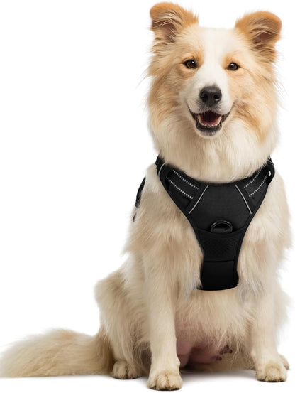 rabbitgoo Dog Harness No Pull with 2 Leash Clips, Adjustable Soft Padded, Reflective Oxford No
