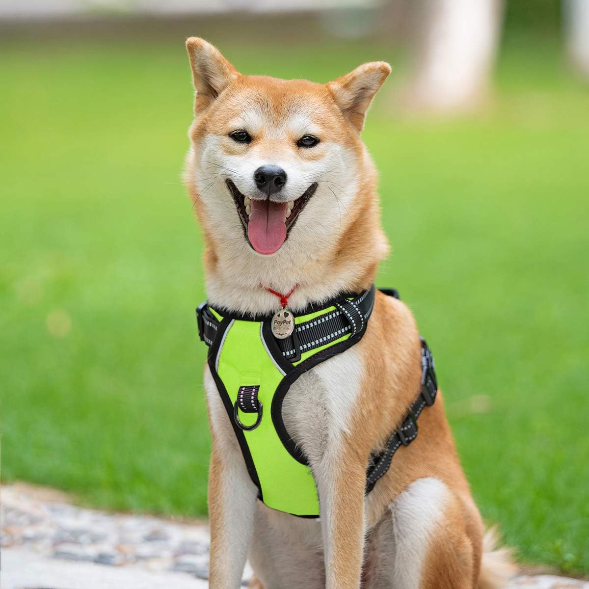 PoyPet No Pull Dog Harness, Reflective Comfortable Vest Harness with Front & Back 2 Leash
