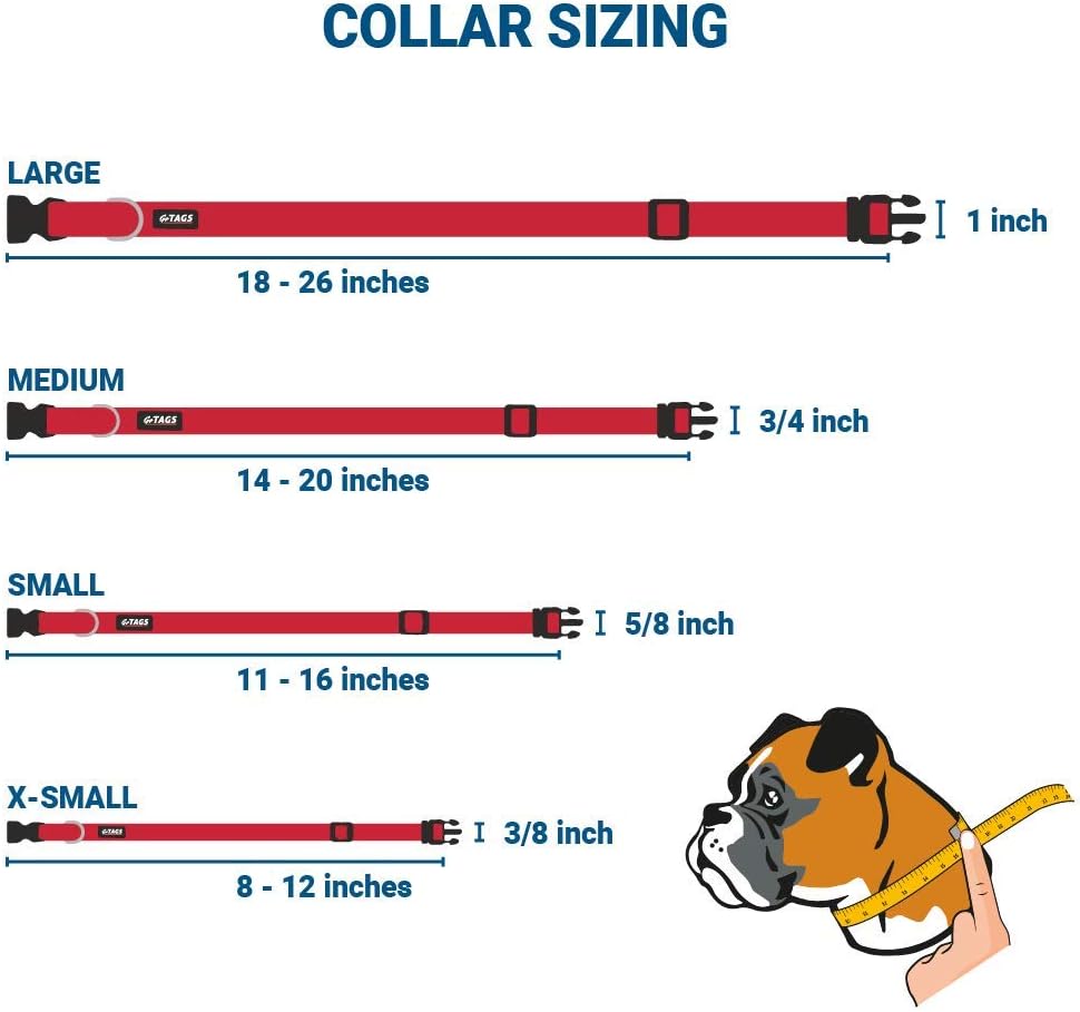 GoTags Personalized Dog Collar with Nameplate, Adjustable Dog Collar with Custom Engraved Slide On
