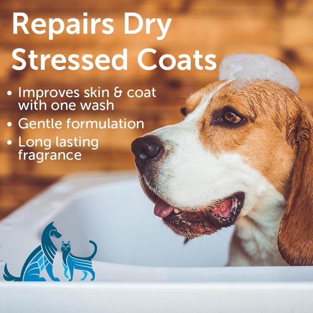 Nootie - Pet Shampoo for Sensitive Skin - Revitalizes Dry Skin & Coat - Natural Ingredients