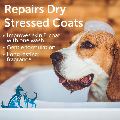 Nootie - Pet Shampoo for Sensitive Skin - Revitalizes Dry Skin & Coat - Natural Ingredients