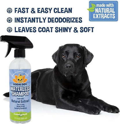 Bodhi Dog Waterless Shampoo for Dogs & Cats - Natural Dry Shampoo, Neutralizes Odor, No Rinse