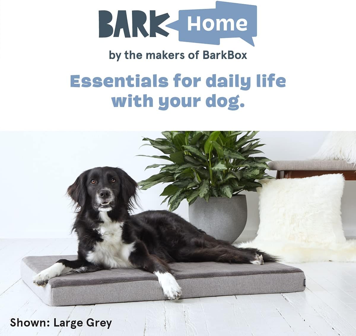 Barkbox Orthopedic Dog Bed | Comfortable Memory Foam Mattress for Joint Relief | Head and Neck