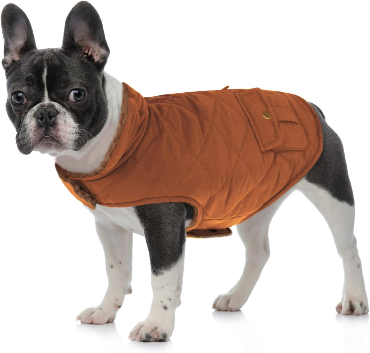 Queenmore Warm Puffer Dog Coat, Quilting Winter Jacket Ultra Thick Plush Lining with Storage