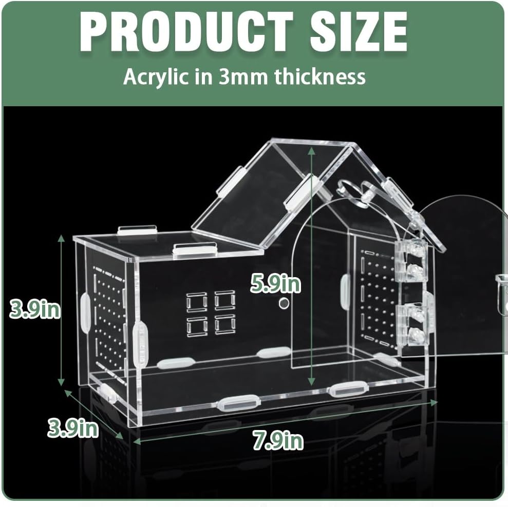 Acrylic Jumping Spider Enclosure - Versatile Reptile Enclosure with One-Click Magnetic Closure