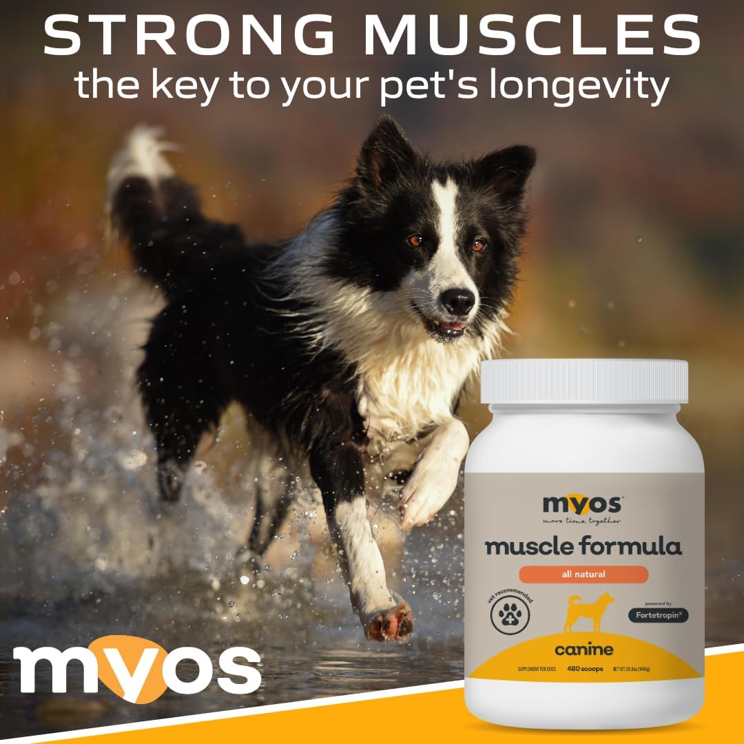MYOS Canine Muscle Formula - All-Natural Muscle Building Supplement - Helps Reduce Muscle Loss in