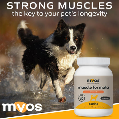 MYOS Canine Muscle Formula - All-Natural Muscle Building Supplement - Helps Reduce Muscle Loss in