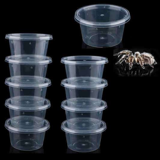 10 Pcs Spider Terrariums Breeding Box Small Round Hatching Container Acrylic Feeding Box for Spider