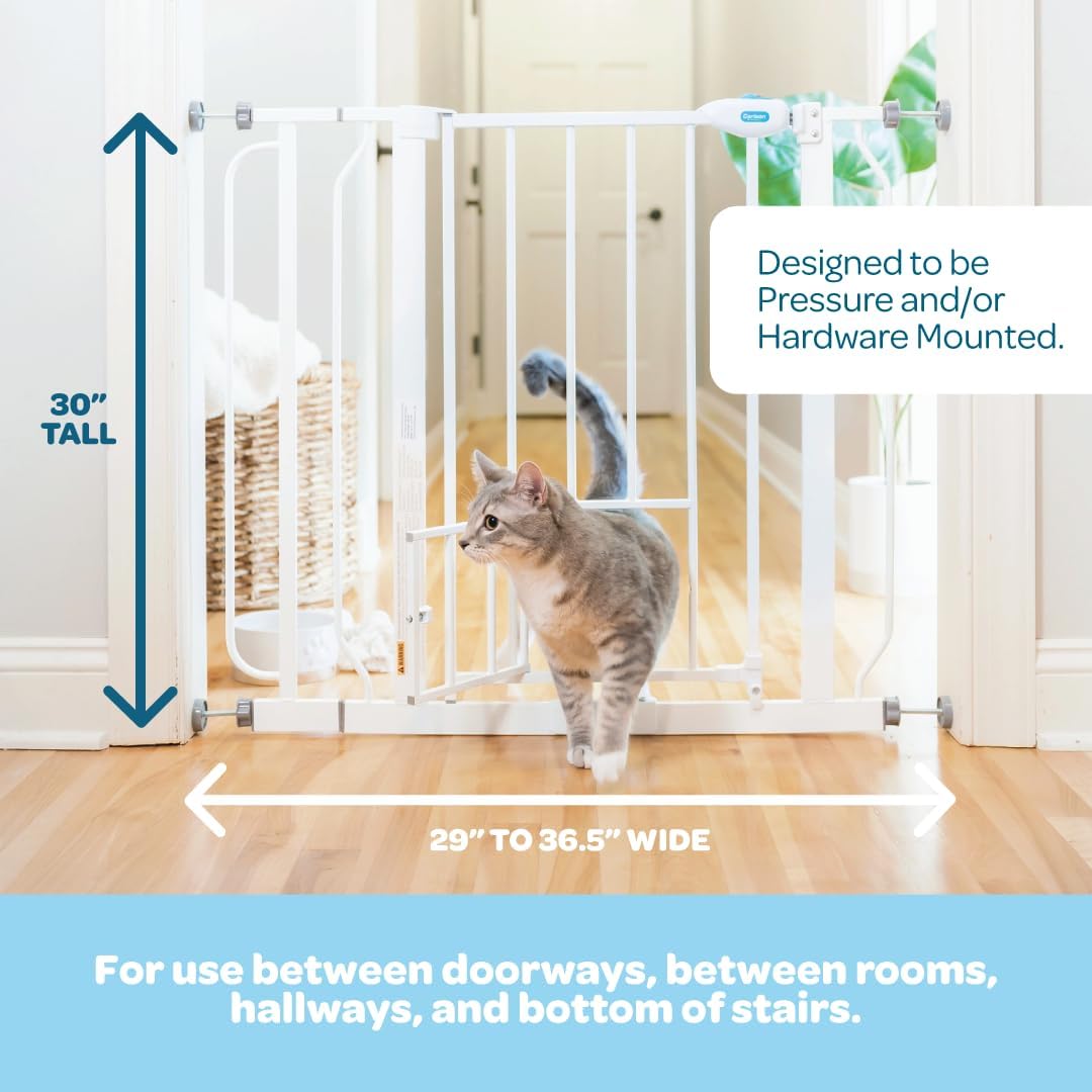 Carlson Extra Wide Walk Through Pet Gate with Small Pet Door, Includes 4-Inch Extension Kit