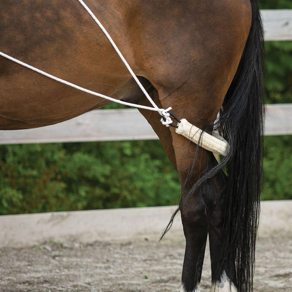Advanced European Training System | Advanced Training Tool | Enhances Horse Carriage and Headset |