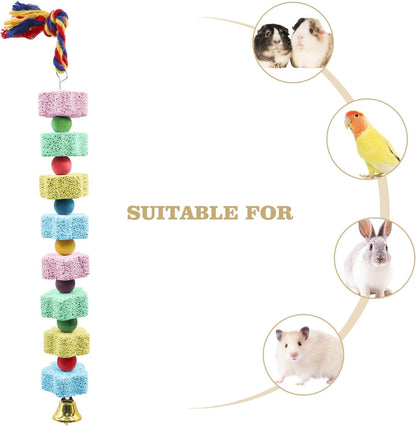 2 Pack Bird Chewing Toy, Colorful Parrot Beak Grinding Calcium Stone with Bells, Cage Accessories