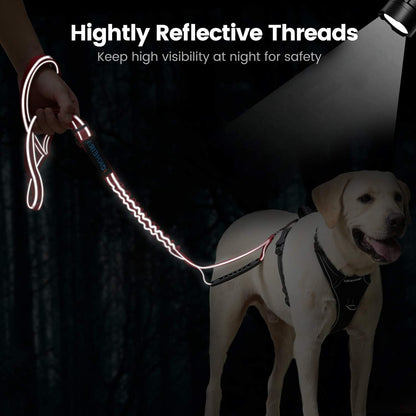 IOKHEIRA 6Ft /4Ft Dog Leash Rope for Large Dogs, Heavy Duty with Comfortable Padded Handle and