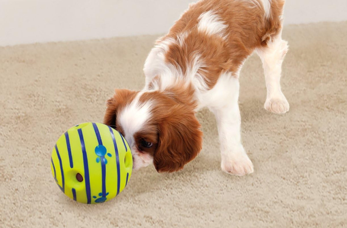 Wobble Wag Giggle Ball | Rolling Enrichment Toy for Fun Playtime, Interactive Play for Indoor or