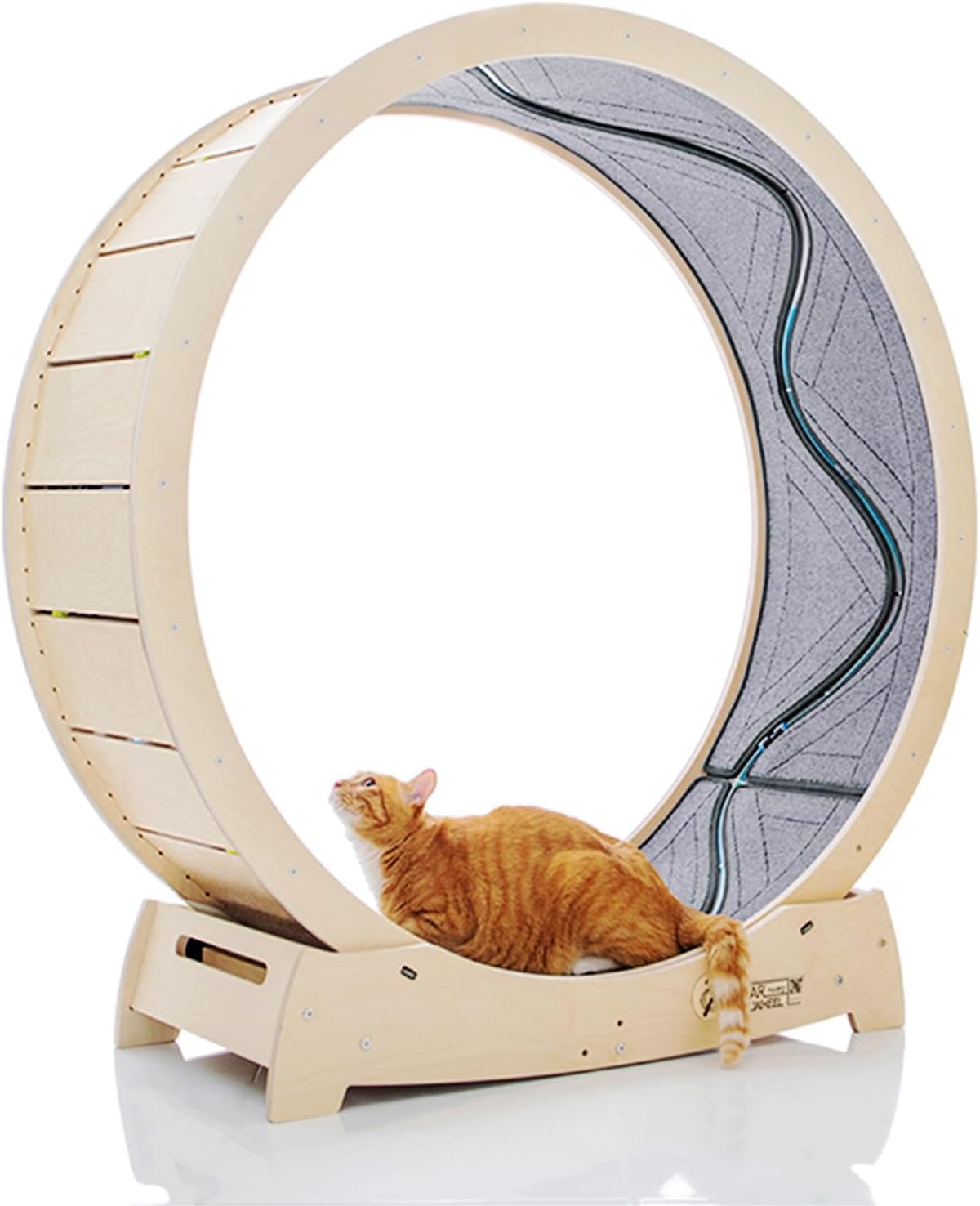 Star Cat Wheel, Cat Treadmill, Exercise Wheel for Running, Spinning, Scratching, and Climbing for