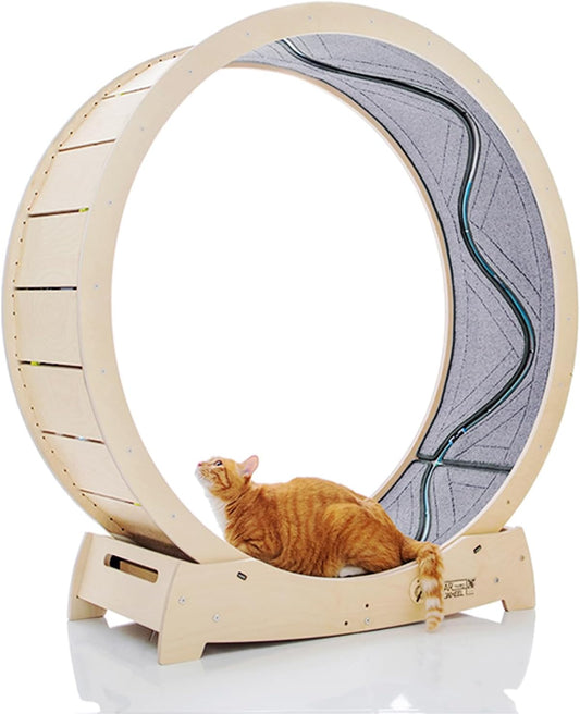 Star Cat Wheel, Cat Treadmill, Exercise Wheel for Running, Spinning, Scratching, and Climbing for