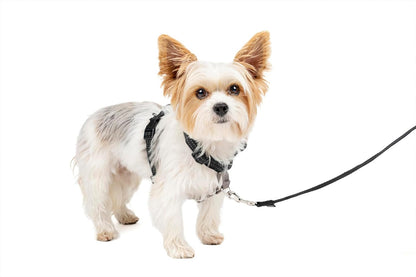 PetSafe 3 in 1 Dog Harness - No Pull Solution for Dogs - Reflective Dog Harness - Front D-Ring Clip