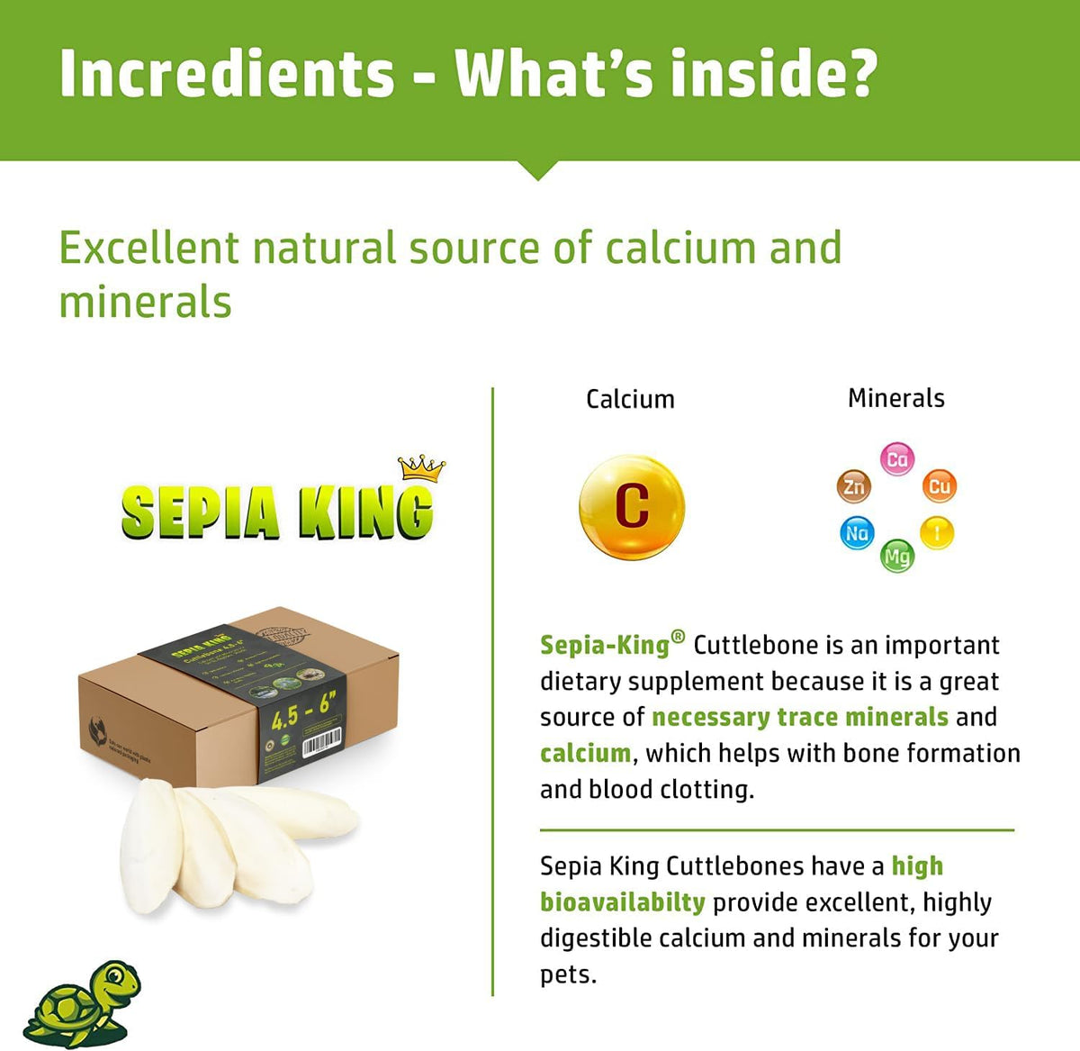 Medium - 100% Natural Calcium Supplement - Premium Cuttlebone Perfect for Birds, Tortoises, Snails