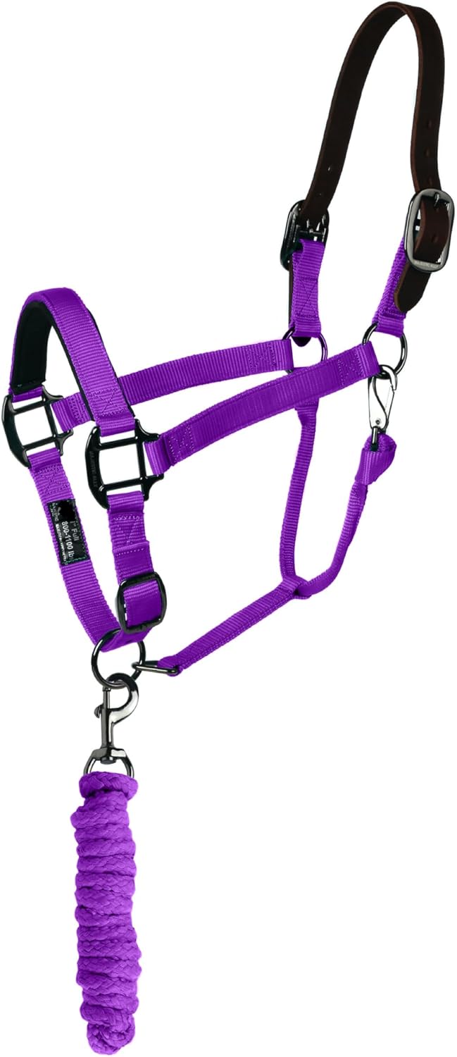 Majestic Ally Leather Halter with Matching Lead Rope for Horses – Leather Breakaway Crown
