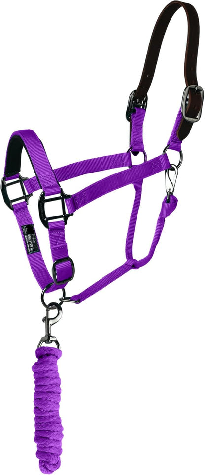 Majestic Ally Leather Halter with Matching Lead Rope for Horses – Leather Breakaway Crown