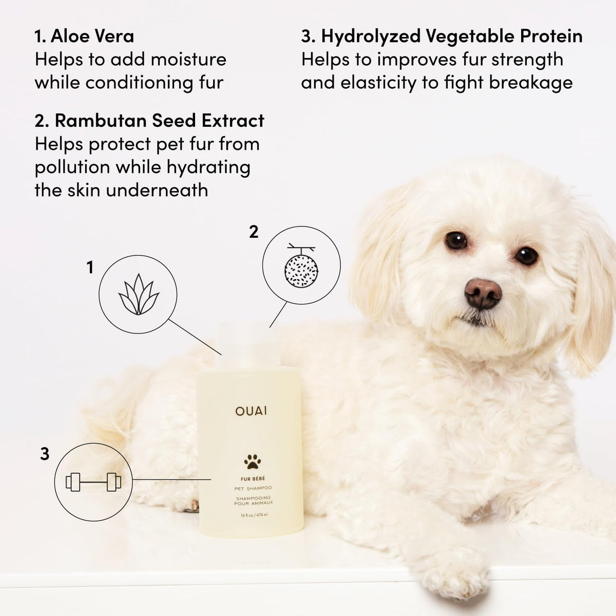 OUAI Fur Bébé Pet Shampoo, Mercer Street Scent - Dog Shampoo and Coat Wash for Hydrating, Cleansing