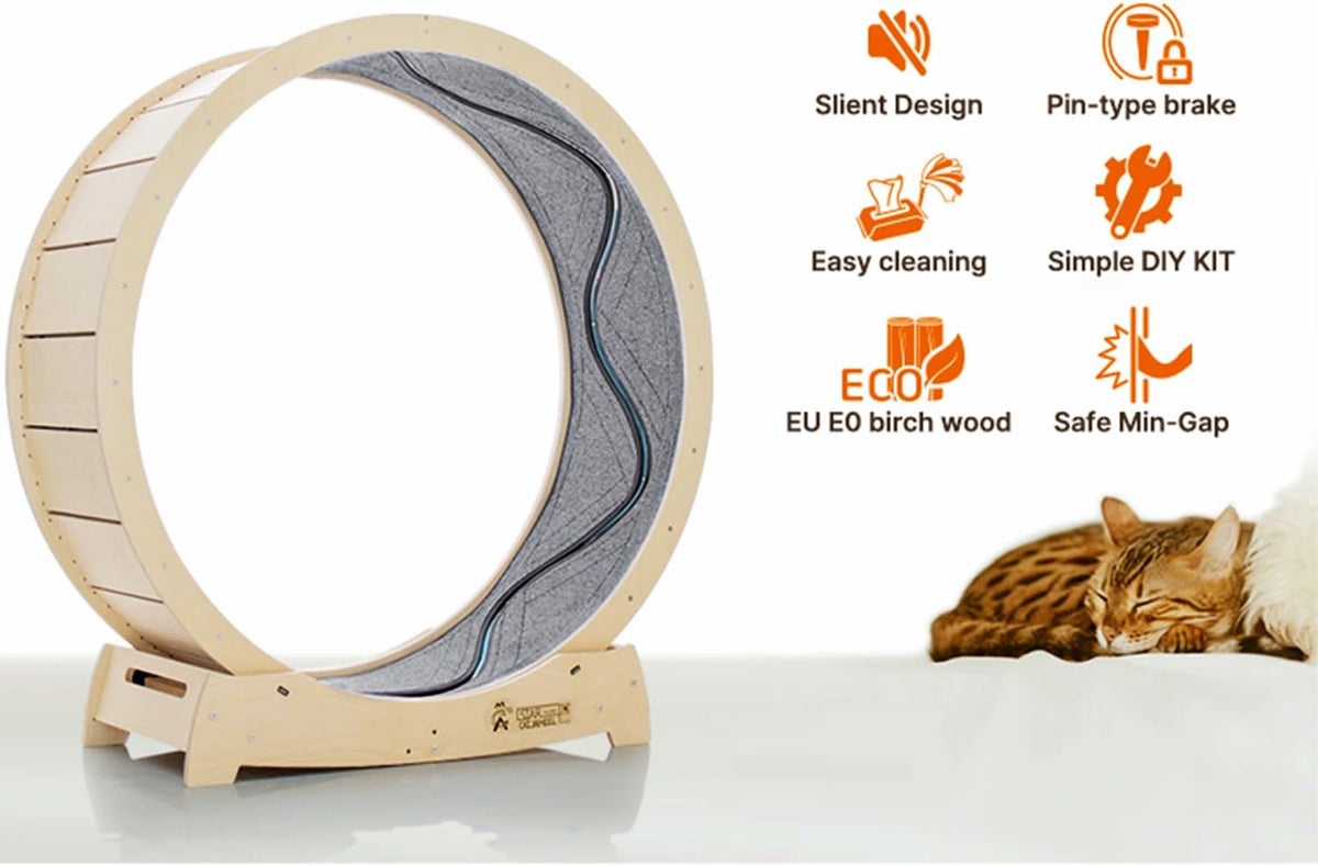 Star Cat Wheel, Cat Treadmill, Exercise Wheel for Running, Spinning, Scratching, and Climbing for