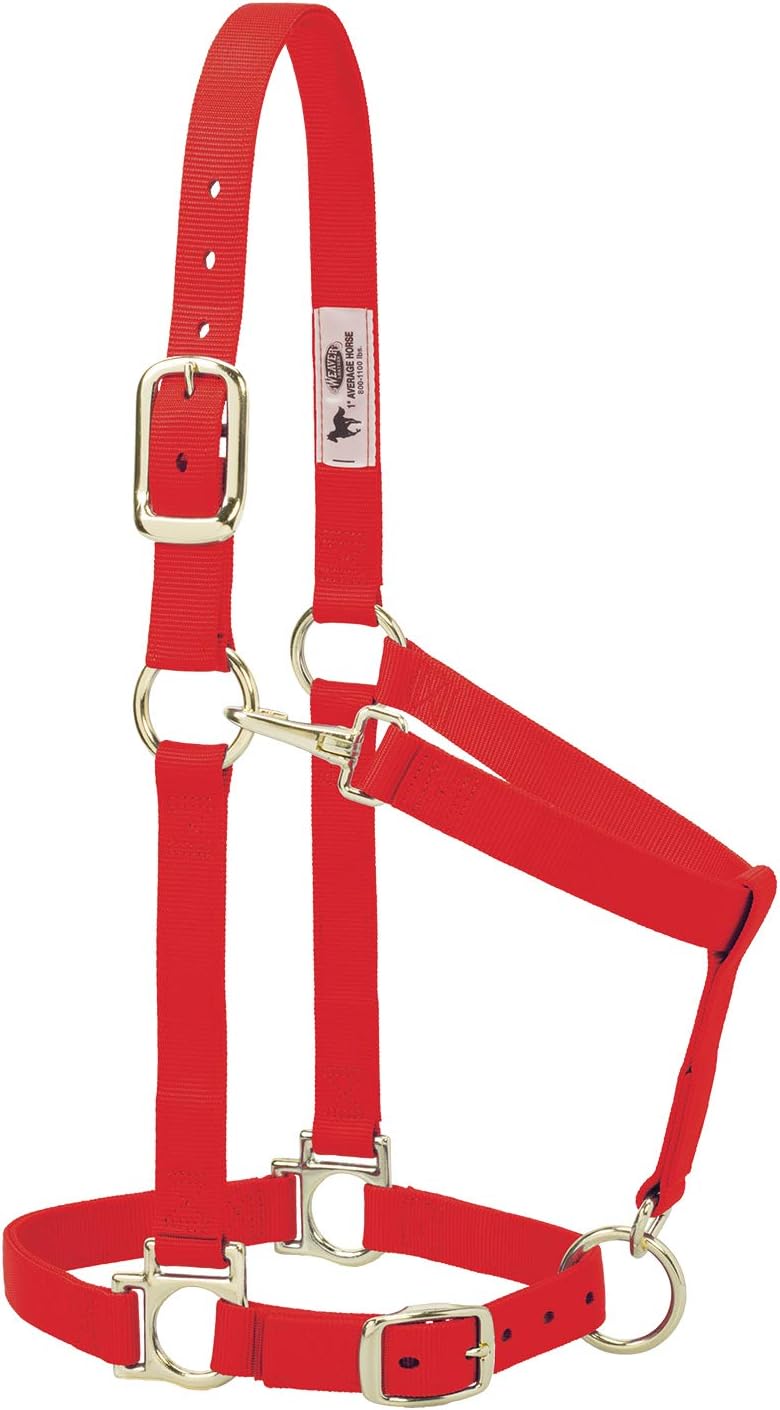 Weaver Leather Nylon Horse Halter, Padded and Adjustable, Chin and Throat Snap Hook Halters for