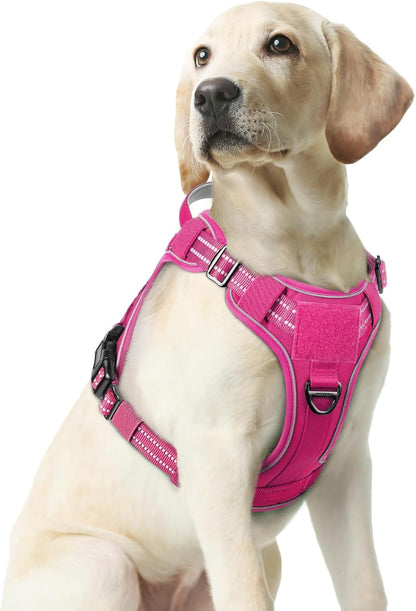 rabbitgoo Dog Harness Medium Sized No Pull, Tactical Service Pet Vest with Molle and Control