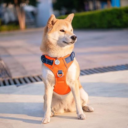 PHOEPET No Pull Dog Harness, Unique Colors Reflective Adjustable Dog Vest, with Soft Training