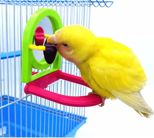 Bird Mirror for Cage, Bird Mirror Toy with Paddle Wheels and Perch, Bird Hanging Training Toys for