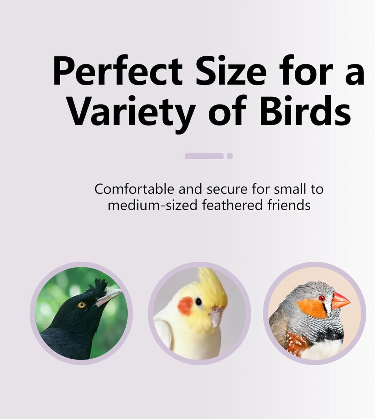 Natural Mineral Bird Perch for Cage Parrot Perch Platform for Beak Grinding Claw Trimming & Chewing