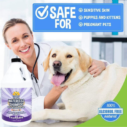 Bodhi Dog Waterless Shampoo - Natural Dry Shampoo for Dogs & Cats - Neutralizes Pet Odor - No Rinse