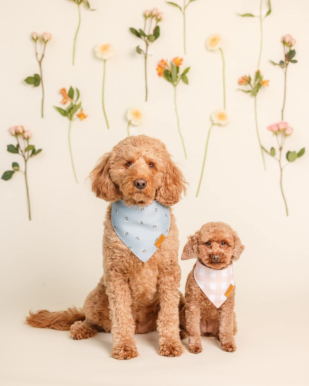 Remy+Roo Small Spring Dog Bandanas - 4 Pack Emily Set | Premium Durable Adjustable Polyester Fabric