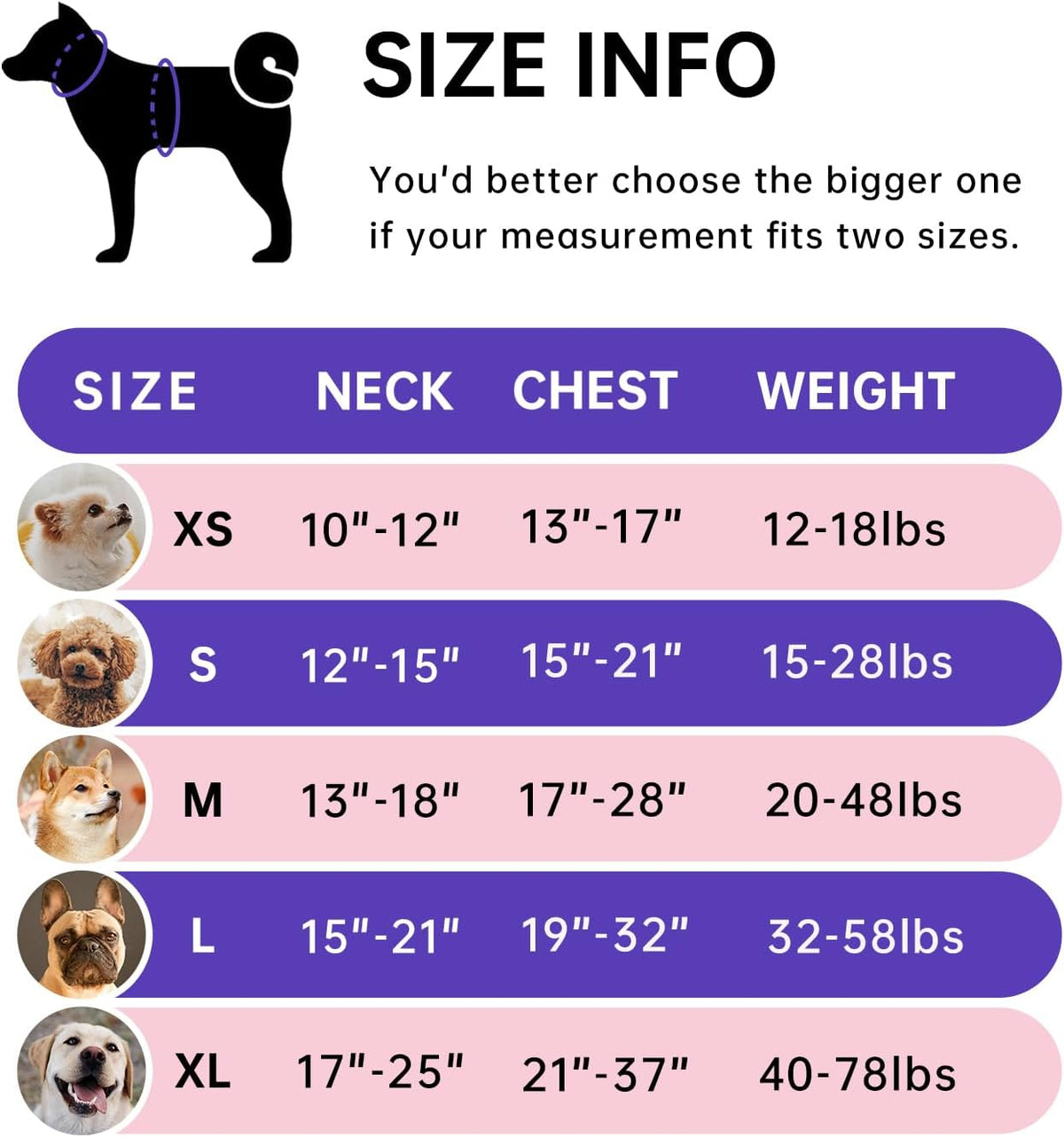 IVY&LANE No Pull Dog Harness for Large Dogs, Dog Vest Harness with Leash, Safety Belt and Storage