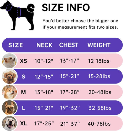 IVY&LANE No Pull Dog Harness for Small Dogs, Dog Vest Harness with Leash, Safety Belt and Storage