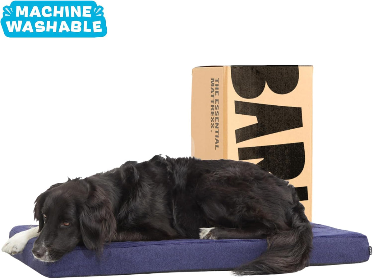 Barkbox Orthopedic Dog Bed with Memory Foam, Premium Comfort for Dogs and Puppies, Dog Bed for