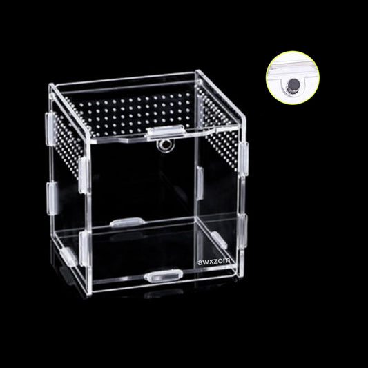 Magnetic Acrylic Case, micro habitat small Tarantula Enclosure enclosure for arboreal Tarantula