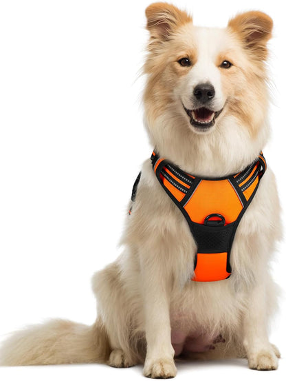 rabbitgoo Dog Harness No Pull with 2 Leash Clips, Adjustable Soft Padded, Reflective Oxford No