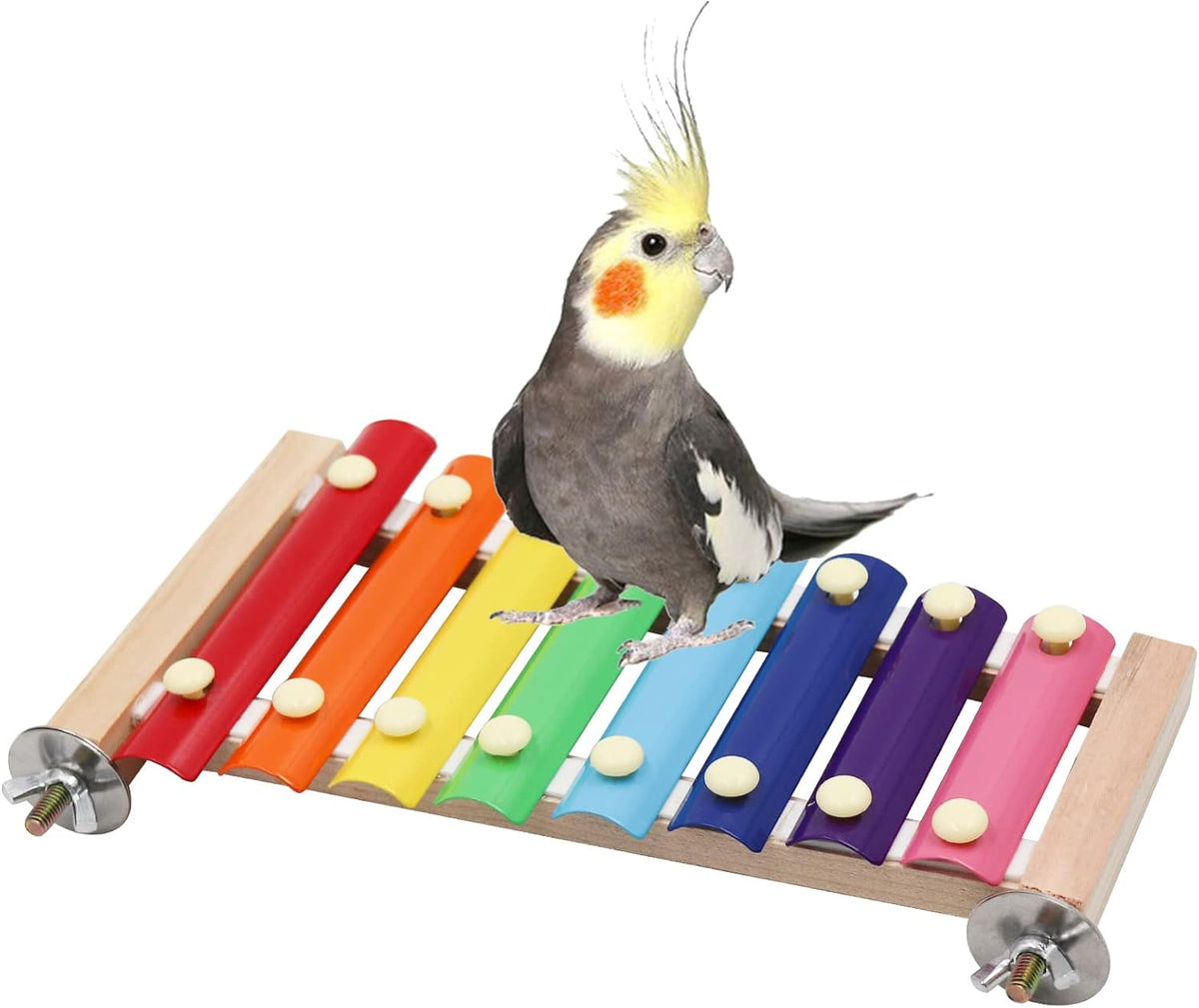 Dnoifne Colorful Xylophone, Funny Xylophone with 8 Metal Keys, Cage Toy Accessories for Parrot